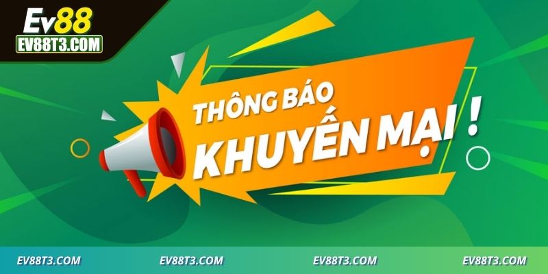 Đánh giá về các chương trình khuyến mãi